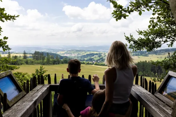 Baumkronenpfad Hoherodskopf