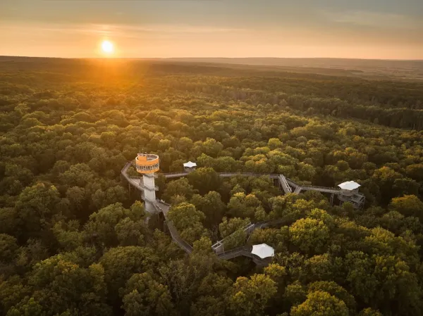 Baumkronenpfad im Nationalpark Hainich
