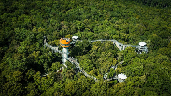 Baumkronenpfad im Nationalpark Hainich
