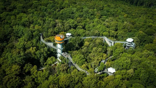 Baumkronenpfad im Nationalpark Hainich