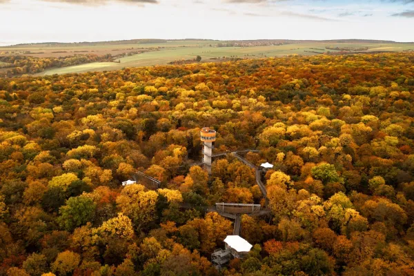 Baumkronenpfad im Nationalpark Hainich