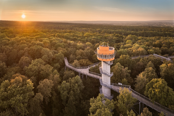 Baumkronenpfad im Nationalpark Hainich