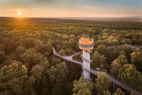 Baumkronenpfad im Nationalpark Hainich
