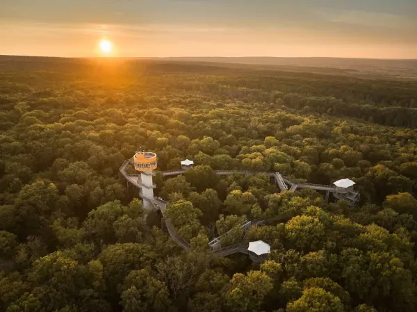 Baumkronenpfad im Nationalpark Hainich