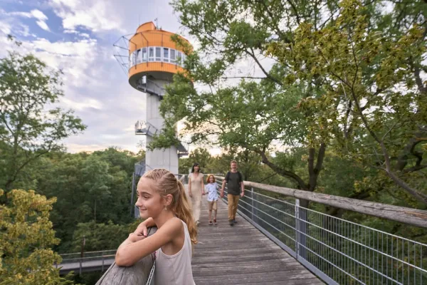 Baumkronenpfad im Nationalpark Hainich