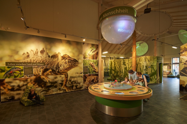 Baumkronenpfad im Nationalpark Hainich