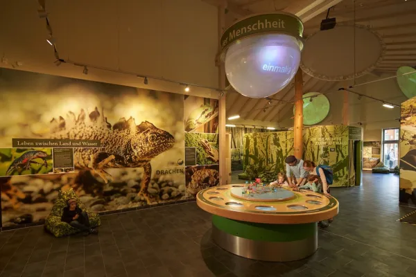 Baumkronenpfad im Nationalpark Hainich