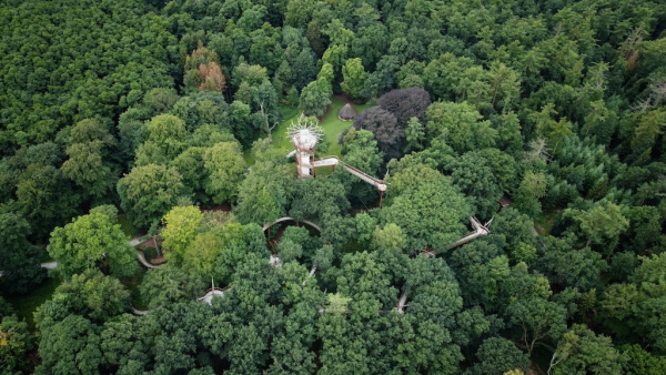 Baumkronenpfad von oben