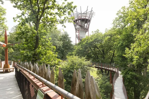 Baumkronenpfad