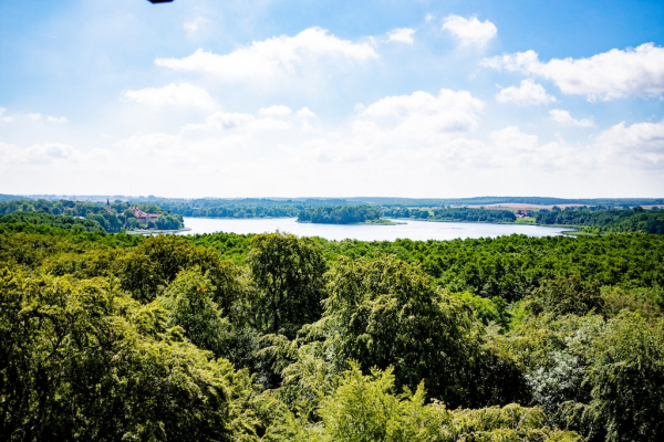 Baumkronenpfad weitblick