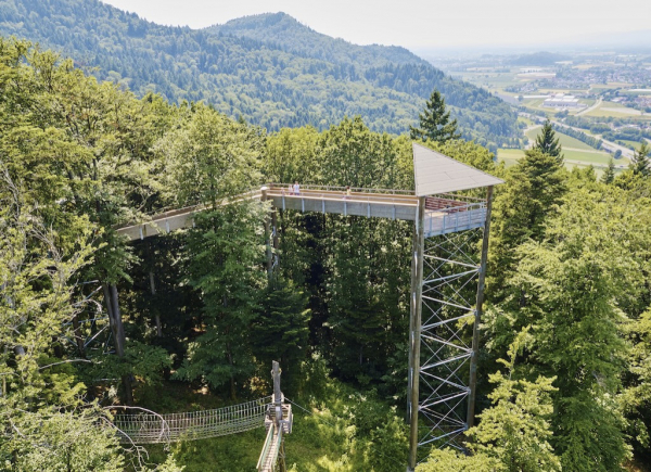 Baumkronenweg Waldkirch
