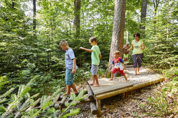 Baumkronenweg Waldkirch