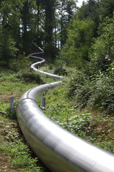 Baumkronenweg Waldkirch