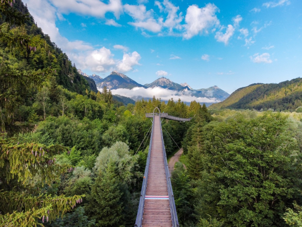 Baumkronenweg Ziegelwies