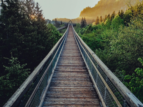 Baumkronenweg Ziegelwies