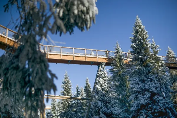 Baumwipfelpfad Bachledka