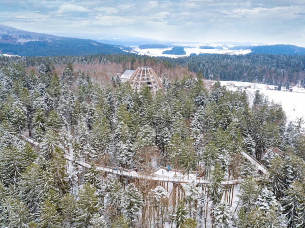 Baumwipfelpfad Bayerischer Wald