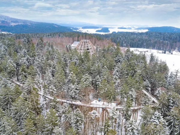 Baumwipfelpfad Bayerischer Wald