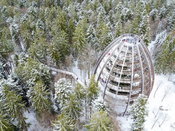 Baumwipfelpfad Bayerischer Wald