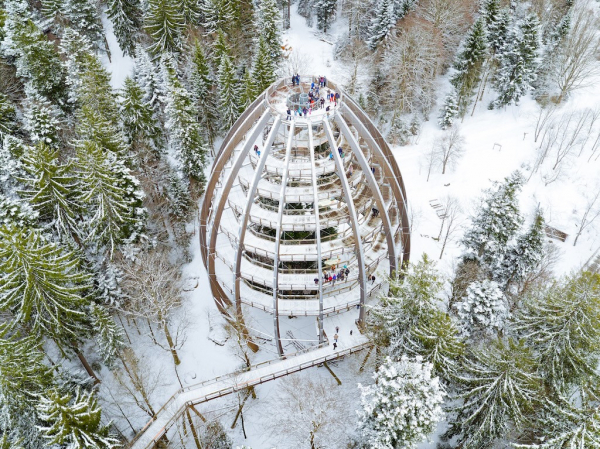 Baumwipfelpfad Bayerischer Wald