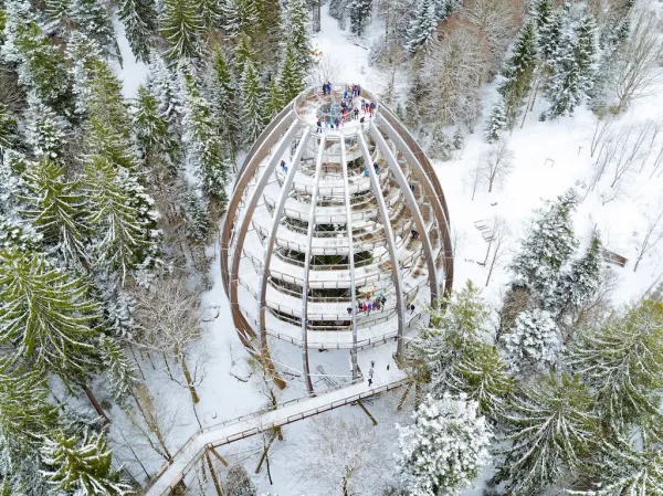 Baumwipfelpfad Bayerischer Wald