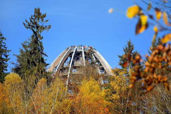 Baumwipfelpfad Bayerischer Wald