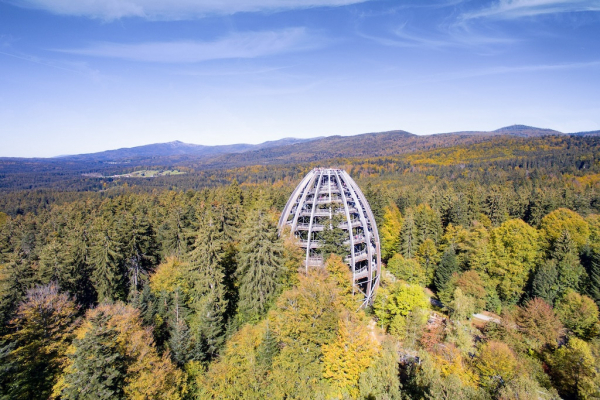 Baumwipfelpfad Bayerischer Wald