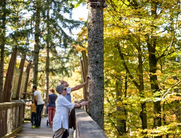 Baumwipfelpfad Bayerischer Wald
