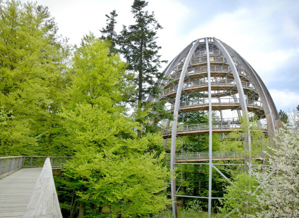 Baumwipfelpfad Bayerischer Wald