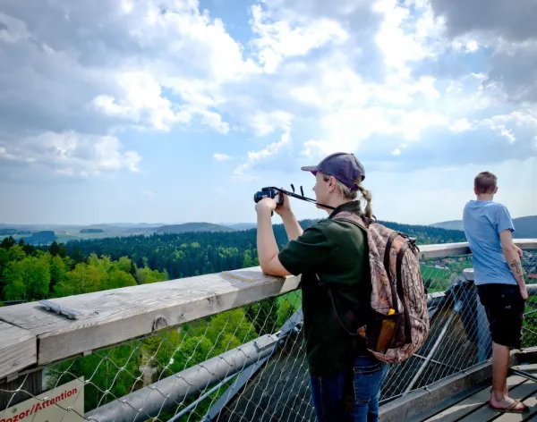 Baumwipfelpfad Bayerischer Wald