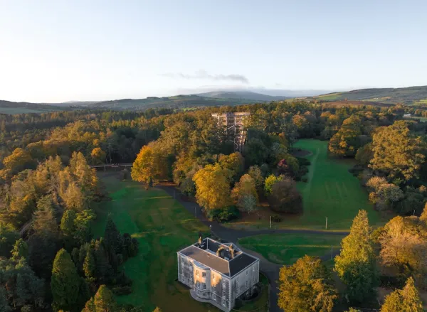 Baumwipfelpfad Beyond the Trees Avondale - Irland