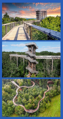 Baumwipfelpfade in Deutschland