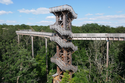 Baumwipfelpfade in Deutschland