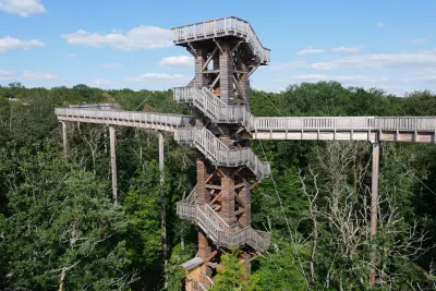 Baumwipfelpfade in Deutschland