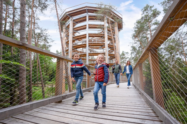 Baumwipfelpfad Elsass