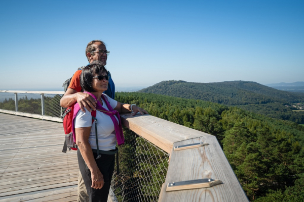 Baumwipfelpfad Elsass