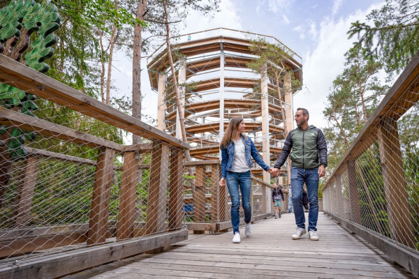 Baumwipfelpfad Elsass