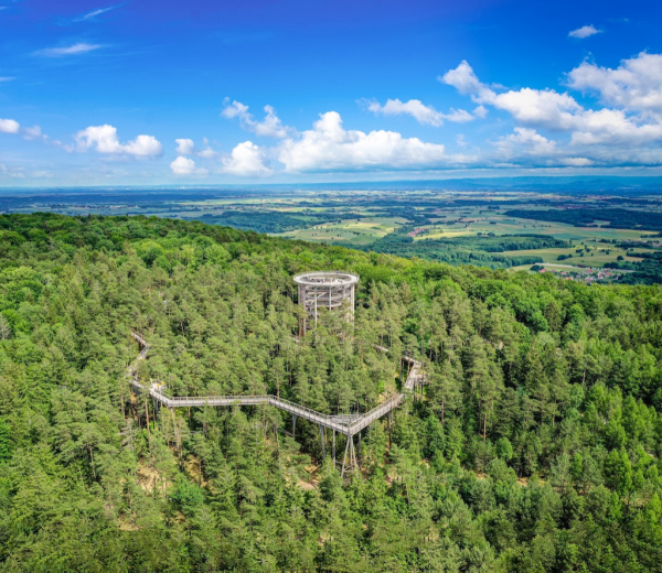 Baumwipfelpfad Elsass