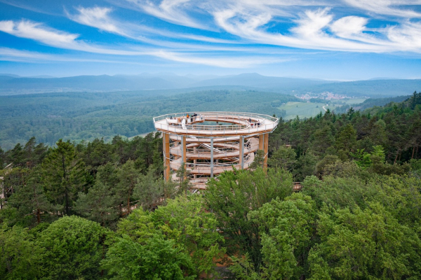 Baumwipfelpfad Elsass