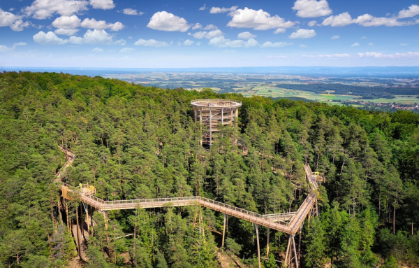 Baumwipfelpfad Elsass