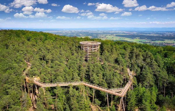 Baumwipfelpfad Elsass