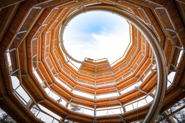 Baumwipfelpfad Elsass