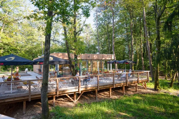 Baumwipfelpfad Elsass