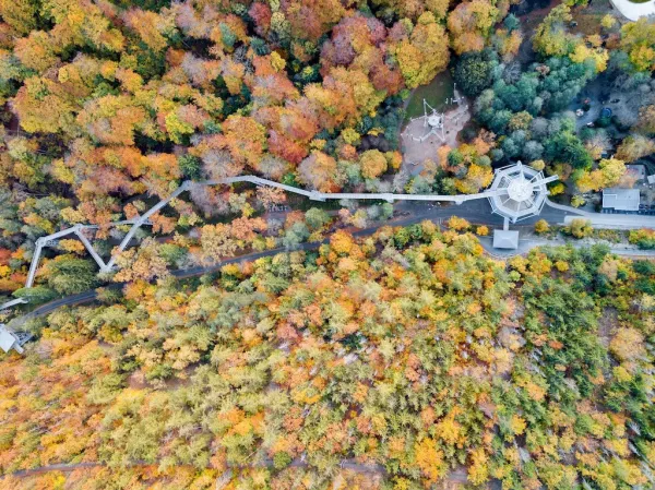 Luftaufnahme Baumwipfelpfad Harz