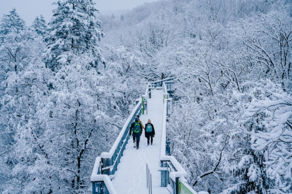 Winter Baumwipfelpfad Harz