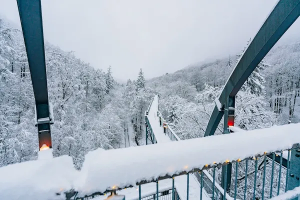 Winter Baumwipfelpfad Harz