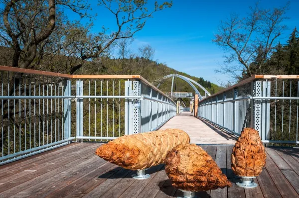 Eröffnung Steffen Henze SHphoto by Nature Baumwipfelpfad Harz
