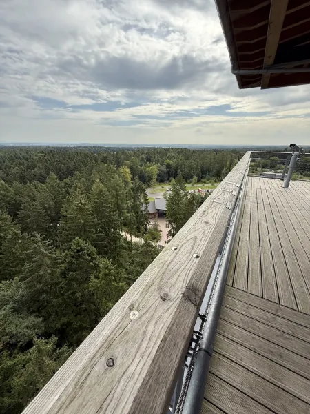 Heide Himmel – Baumwipfelpfad