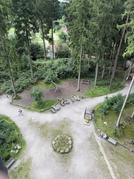 Heide Himmel – Baumwipfelpfad