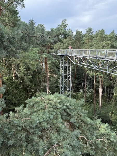 Heide Himmel – Baumwipfelpfad